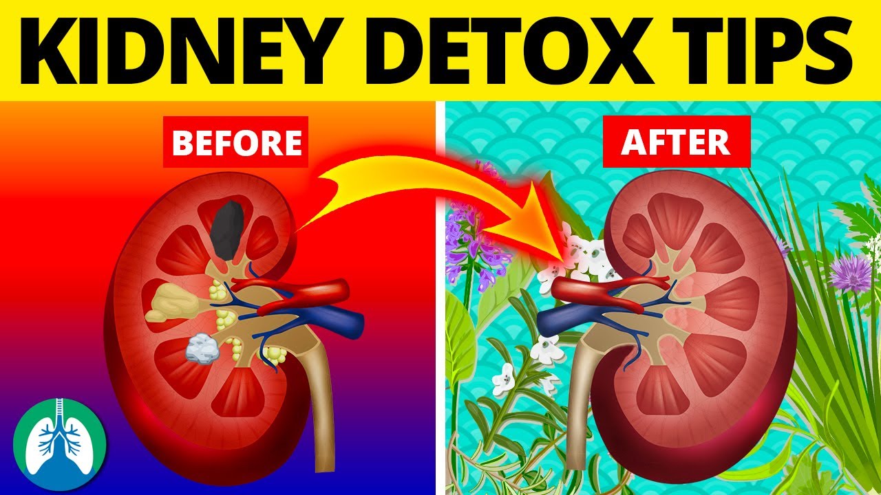 How to Detoxification Your Kidney: A Comprehensive Overview